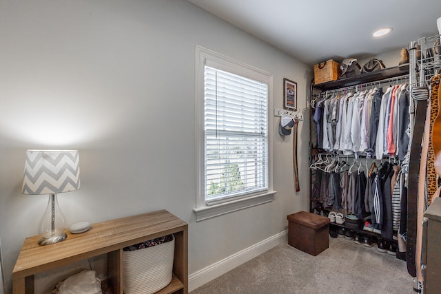 spacious closet featuring carpet floors