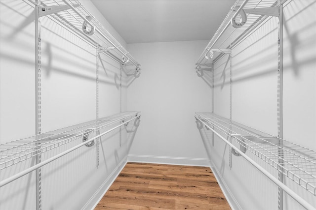 spacious closet featuring hardwood / wood-style flooring