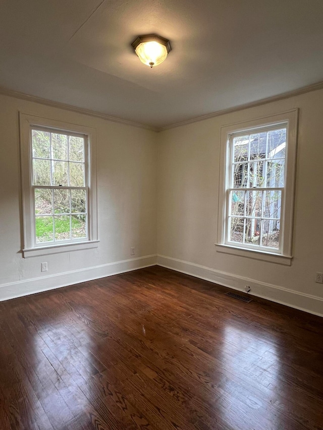 spare room featuring plenty of natural light and dark wood-type flooring