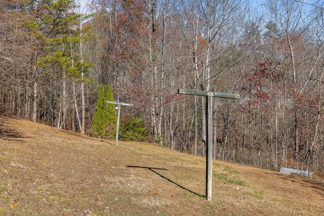 310 Rural Vale Rd, Tellico Plains, TN 37385 - photo 63
