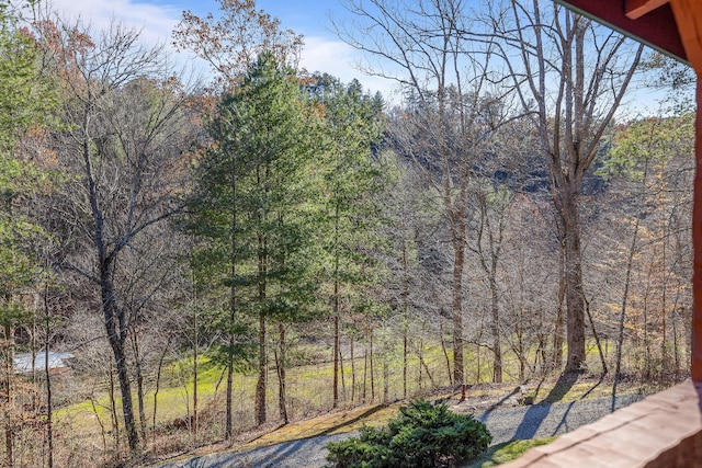 310 Rural Vale Rd, Tellico Plains, TN 37385 - photo 9