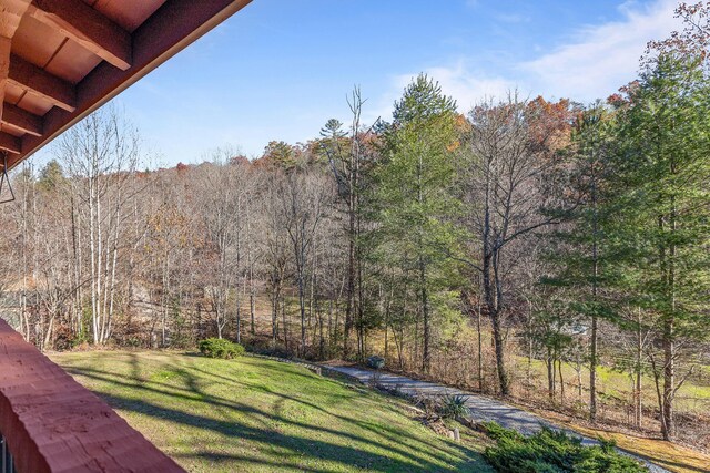 310 Rural Vale Rd, Tellico Plains, TN 37385 - photo 10
