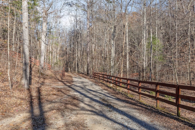 310 Rural Vale Rd, Tellico Plains, TN 37385 - photo 56