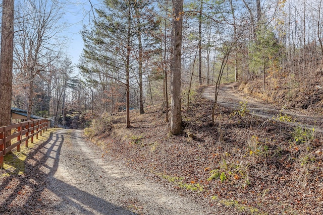 310 Rural Vale Rd, Tellico Plains, TN 37385 - photo 57