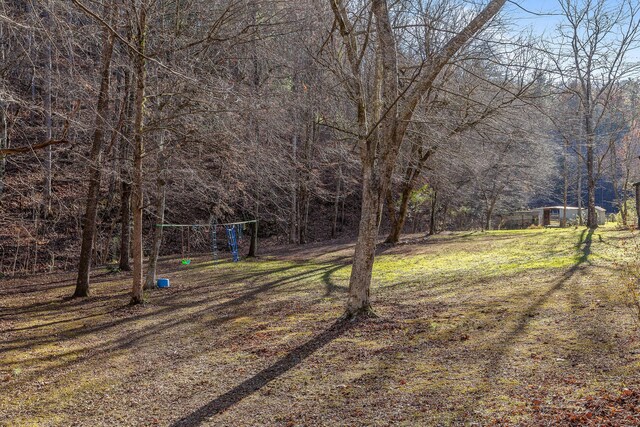 310 Rural Vale Rd, Tellico Plains, TN 37385 - photo 58