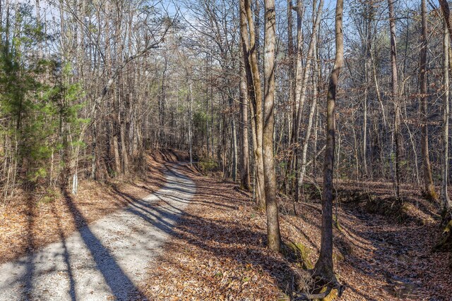 310 Rural Vale Rd, Tellico Plains, TN 37385 - photo 61
