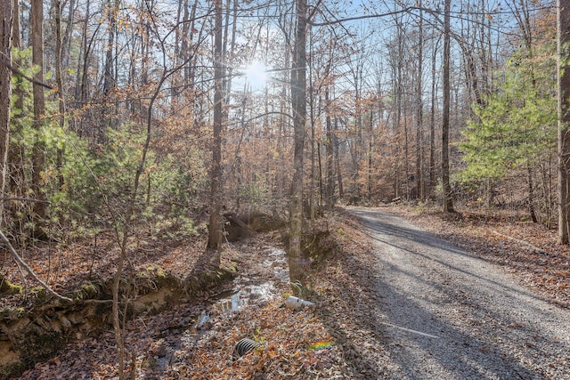 310 Rural Vale Rd, Tellico Plains, TN 37385 - photo 62
