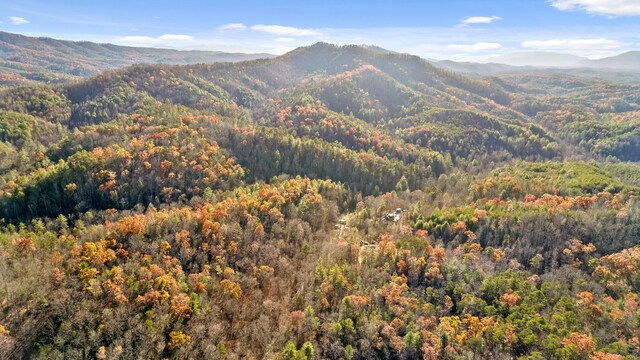 310 Rural Vale Rd, Tellico Plains, TN 37385 - photo 67