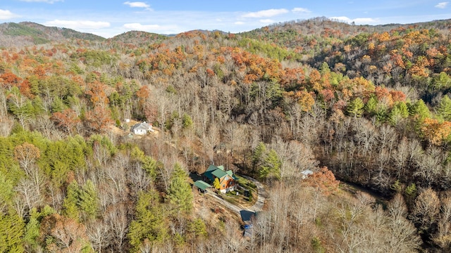 310 Rural Vale Rd, Tellico Plains, TN 37385 - photo 70