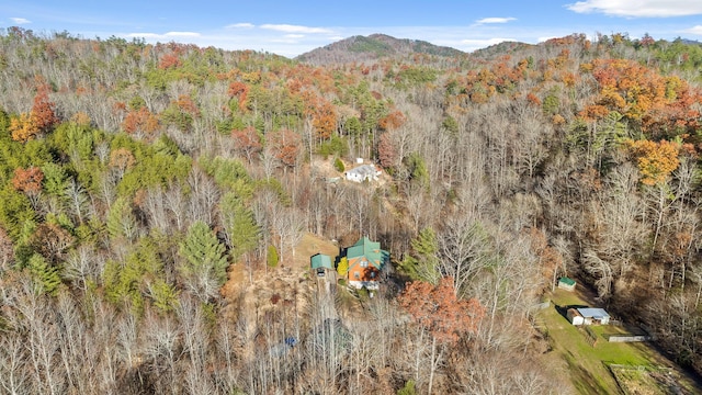 310 Rural Vale Rd, Tellico Plains, TN 37385 - photo 71