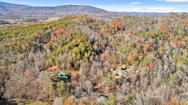 310 Rural Vale Rd, Tellico Plains, TN 37385 - photo 72