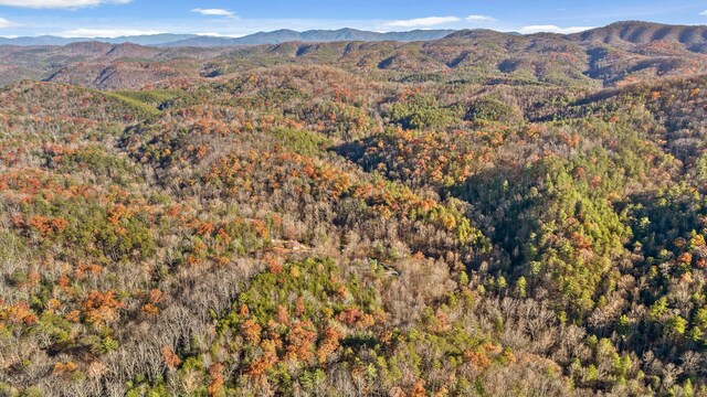 310 Rural Vale Rd, Tellico Plains, TN 37385 - photo 74