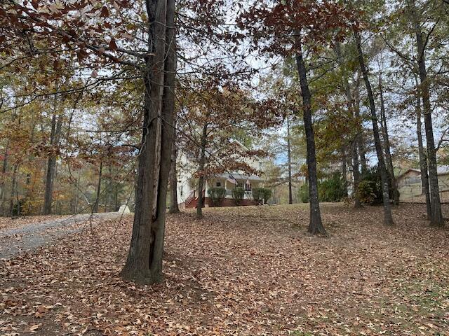 58 Marilyn Ct, Dunlap, TN 37327 - photo 27