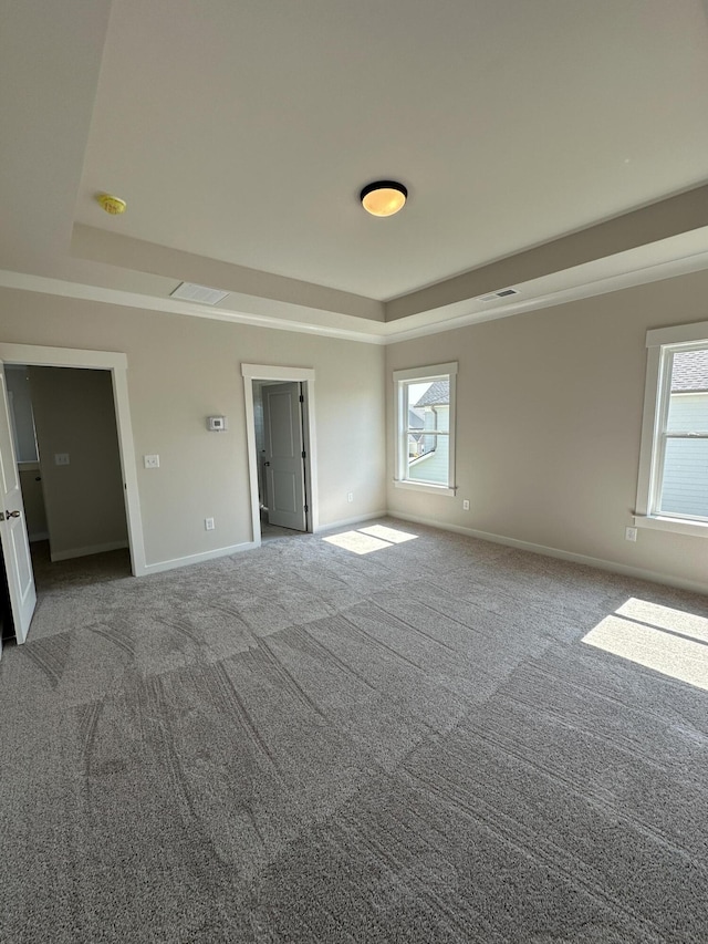 3349 Grassy Fields Ln Unit 177, Apison, TN 37302 - unfurnished bedroom with a tray ceiling, multiple windows, and baseboards