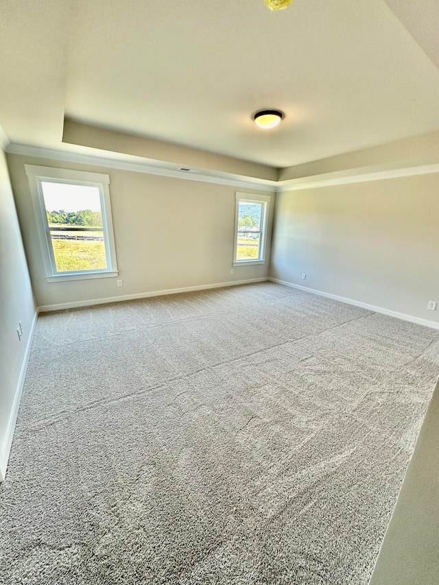 spare room with a tray ceiling, a wealth of natural light, and carpet floors