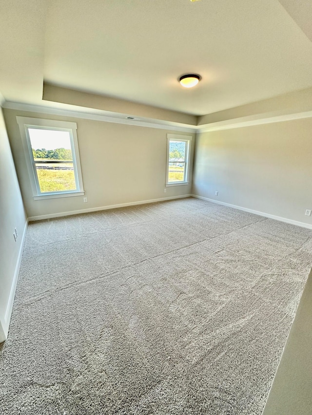 carpeted spare room featuring a wealth of natural light