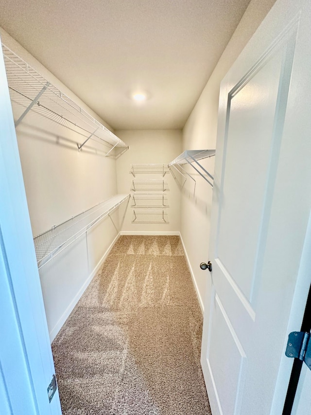 walk in closet with carpet