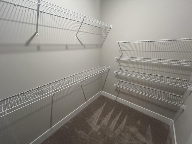 walk in closet with carpet