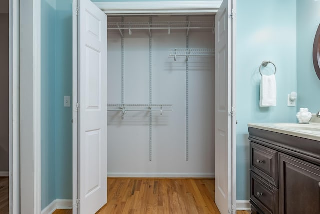 closet featuring sink