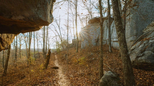 view of landscape