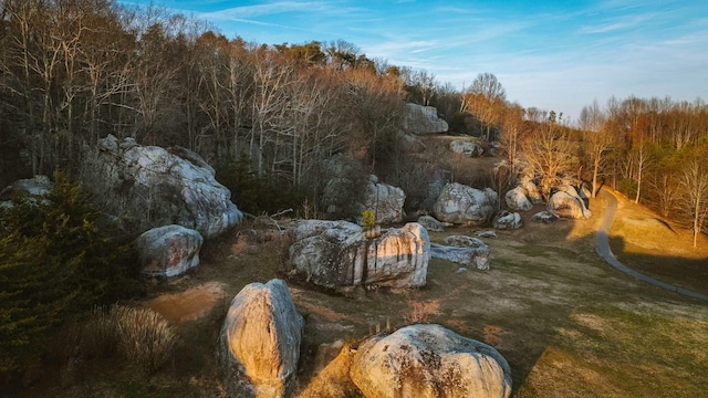 view of nature