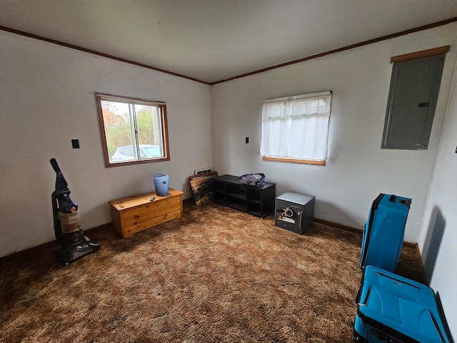 misc room with electric panel, dark carpet, and ornamental molding