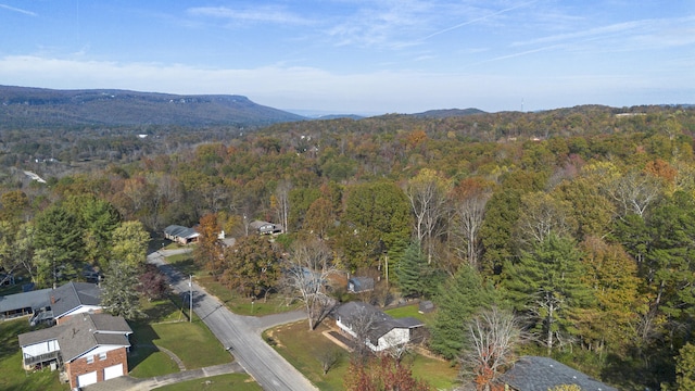 bird's eye view with a mountain view