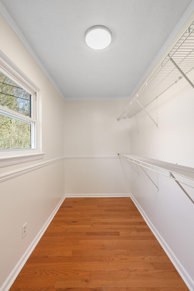 spacious closet with hardwood / wood-style floors