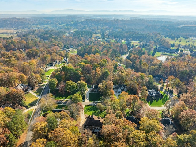 drone / aerial view