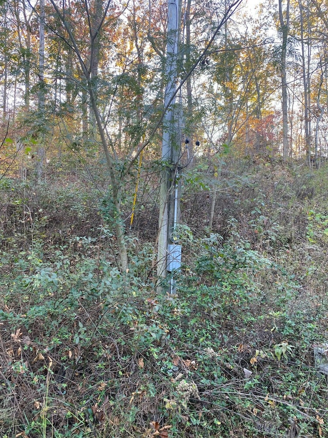 135 David Brown Rd, Jasper, TN 37347 - photo 9