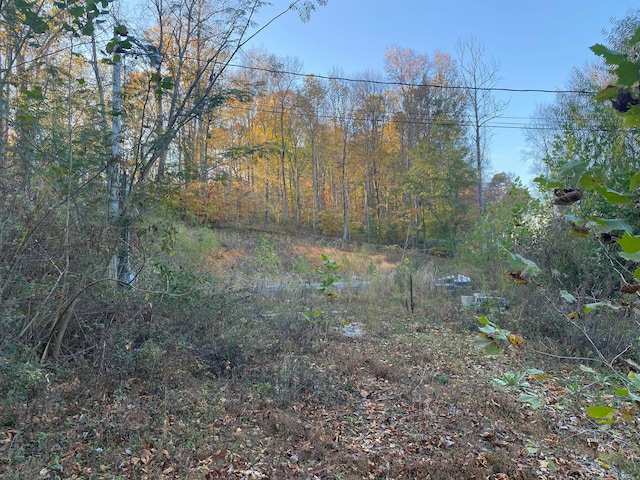 135 David Brown Rd, Jasper, TN 37347 - photo 5