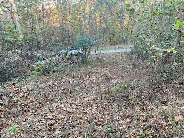 135 David Brown Rd, Jasper, TN 37347 - photo 1