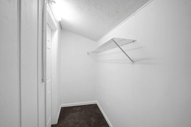 walk in closet featuring carpet and lofted ceiling