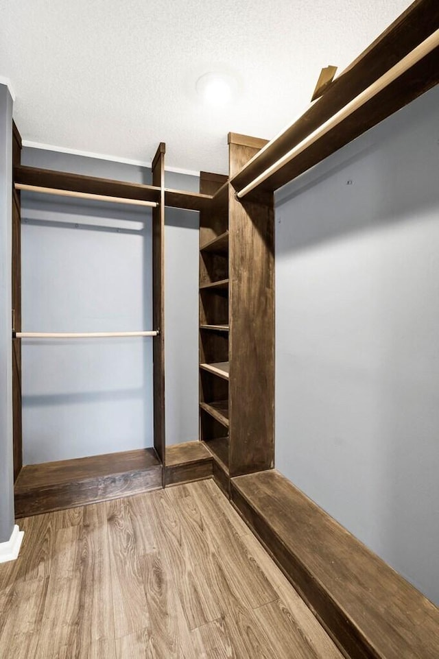 walk in closet with hardwood / wood-style floors