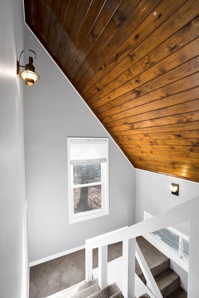 details featuring carpet and wood ceiling