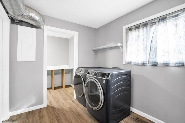 laundry area featuring electric panel, washer and clothes dryer, and light wood-type flooring