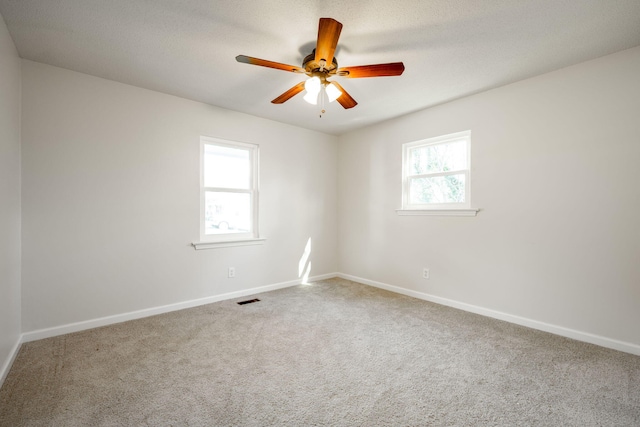 empty room featuring carpet floors and a wealth of natural light