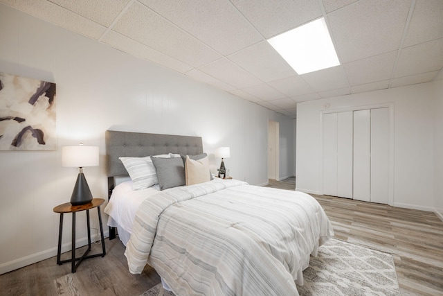 bedroom featuring light wood-type flooring, a closet, and a drop ceiling