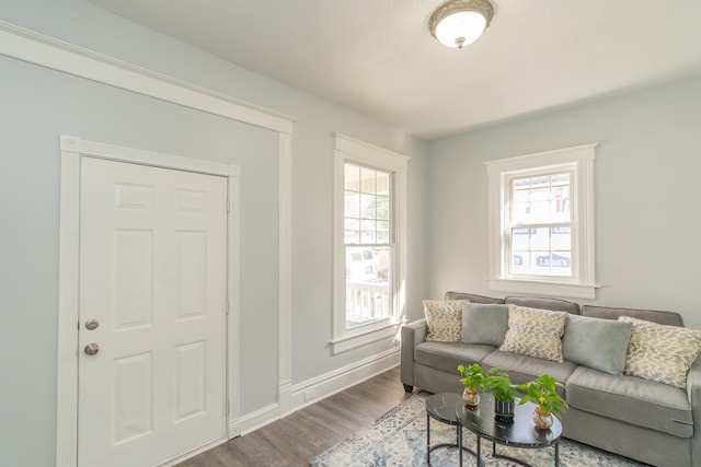 living room featuring plenty of natural light and hardwood / wood-style floors