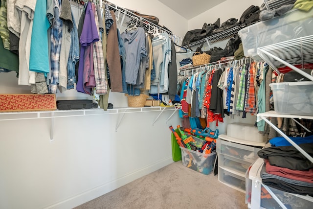 walk in closet featuring carpet flooring