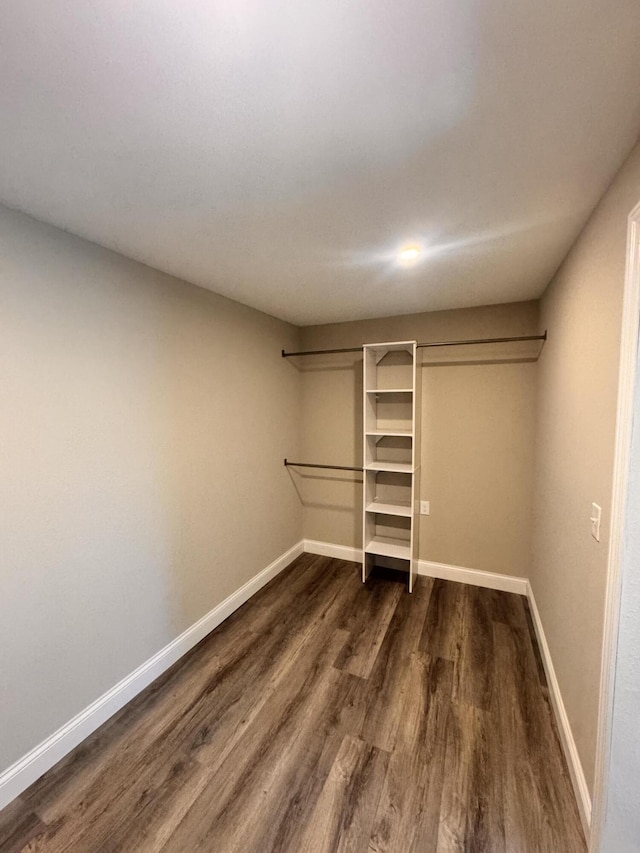 walk in closet with dark wood-type flooring