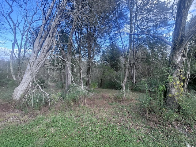 0 Georgetown Rd NW Lot 1, Cleveland, TN 37312 - photo 6