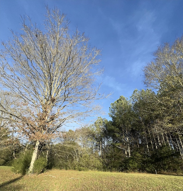 0 Georgetown Rd NW Lot 1, Cleveland, TN 37312 - photo 3