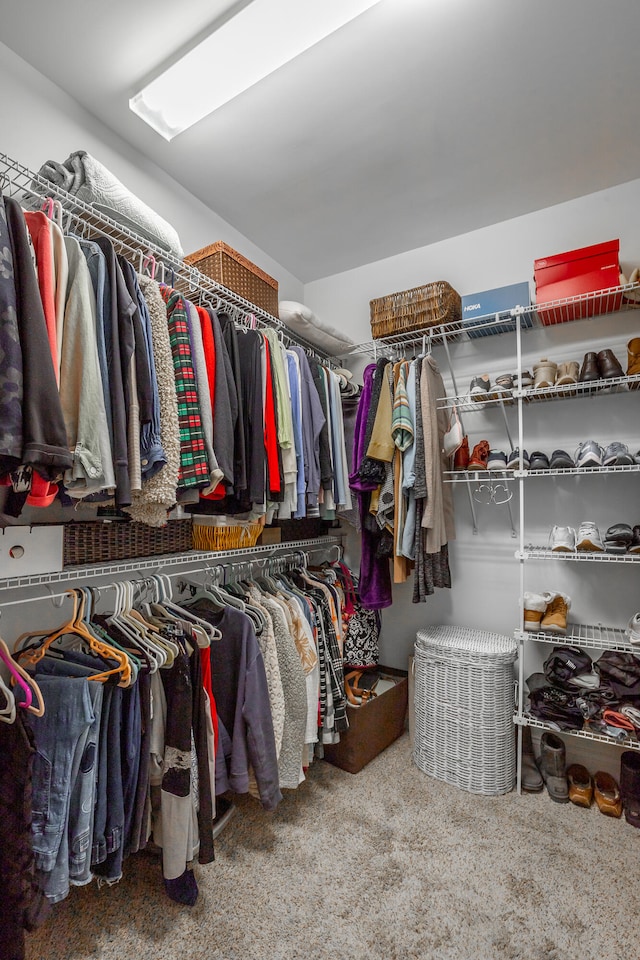 walk in closet with carpet floors