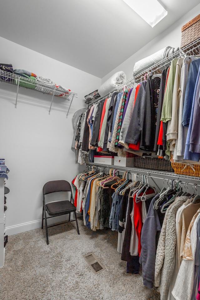 spacious closet with carpet