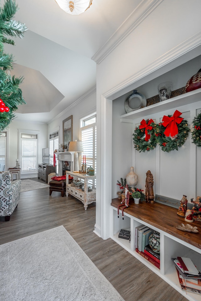 mudroom with crown molding and dark hardwood / wood-style flooring