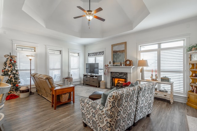 living room with plenty of natural light, dark hardwood / wood-style floors, and a raised ceiling