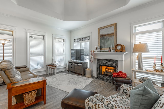 living room featuring a raised ceiling, a wealth of natural light, and wood-type flooring