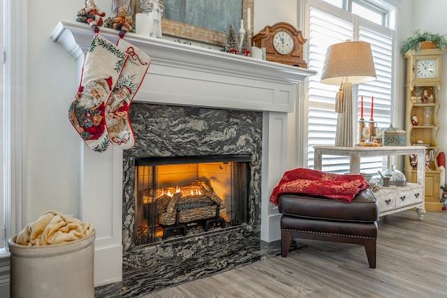 living area featuring a premium fireplace and wood-type flooring