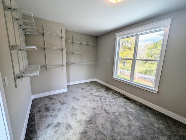 walk in closet with carpet flooring